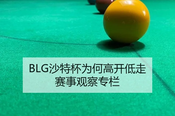 BLG沙特杯为何高开低走 赛事观察专栏（333tiyu）